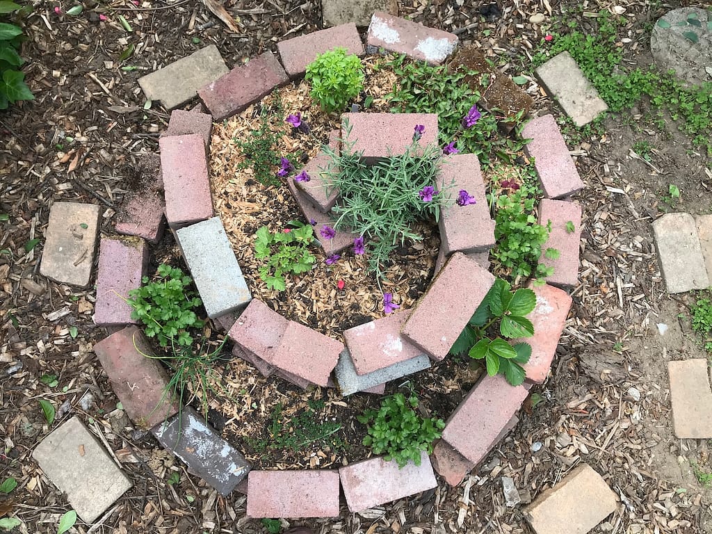 a spiral garden bed made with bricks