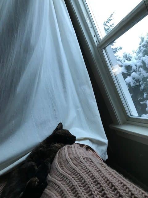 a white curtain is pulled aside to reveal a snowy landscape. in the foreground, a cat rests her head on a blanketed knee.