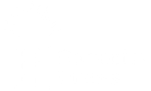 Rootcity Press logo