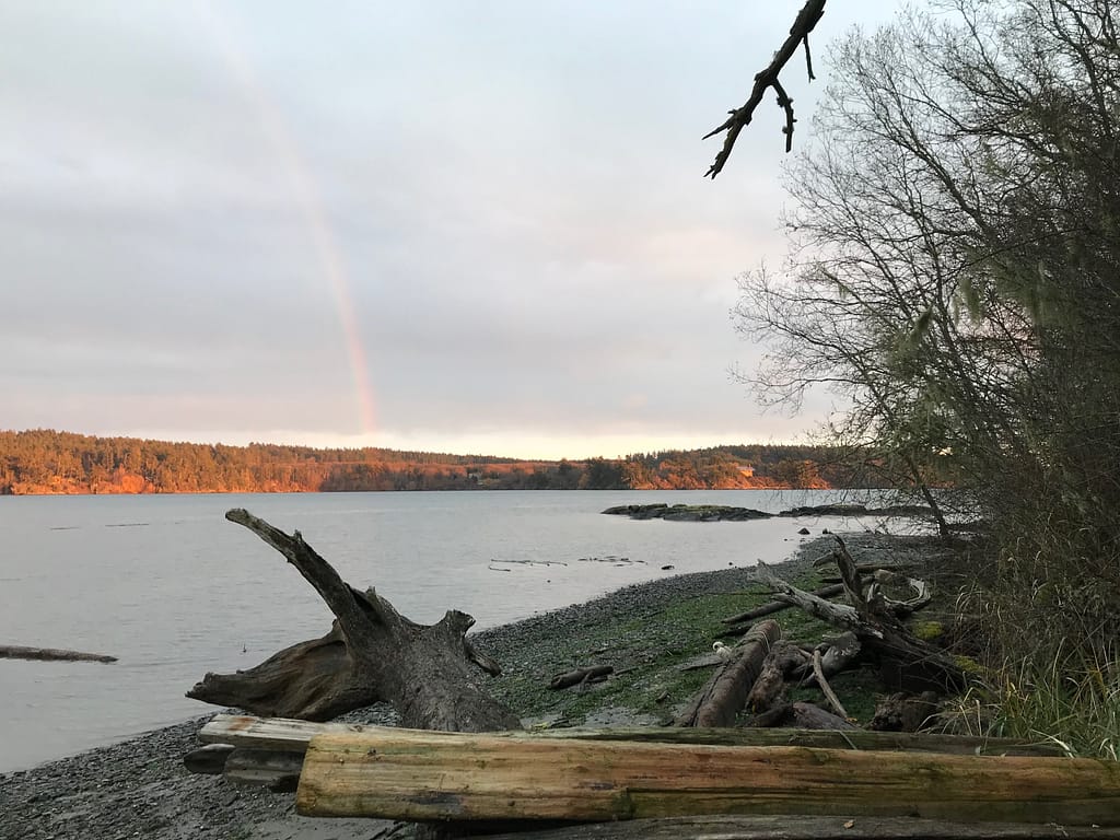 a rainbow pierces the background across a small bay; a rocky beach and several logs and trees in the foreground