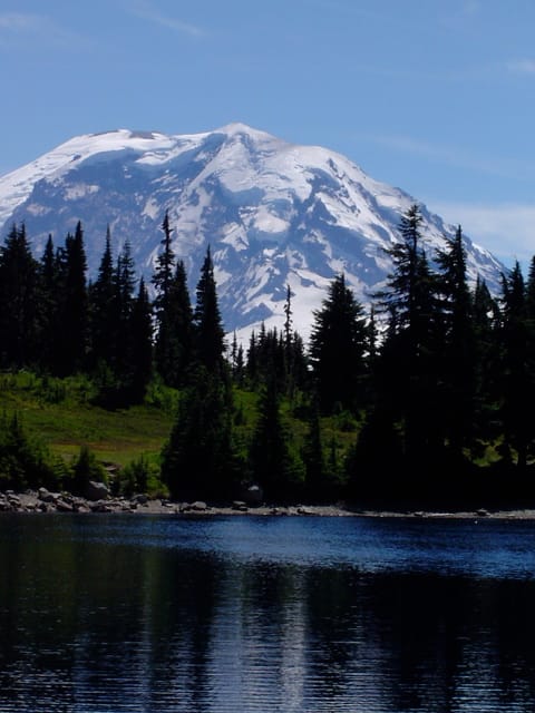 Mount Rainier peak, framed by pine trees and a mountain lake