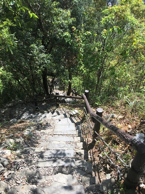 A steep stone staircase leading back down the trail, surrounded by leafy trees