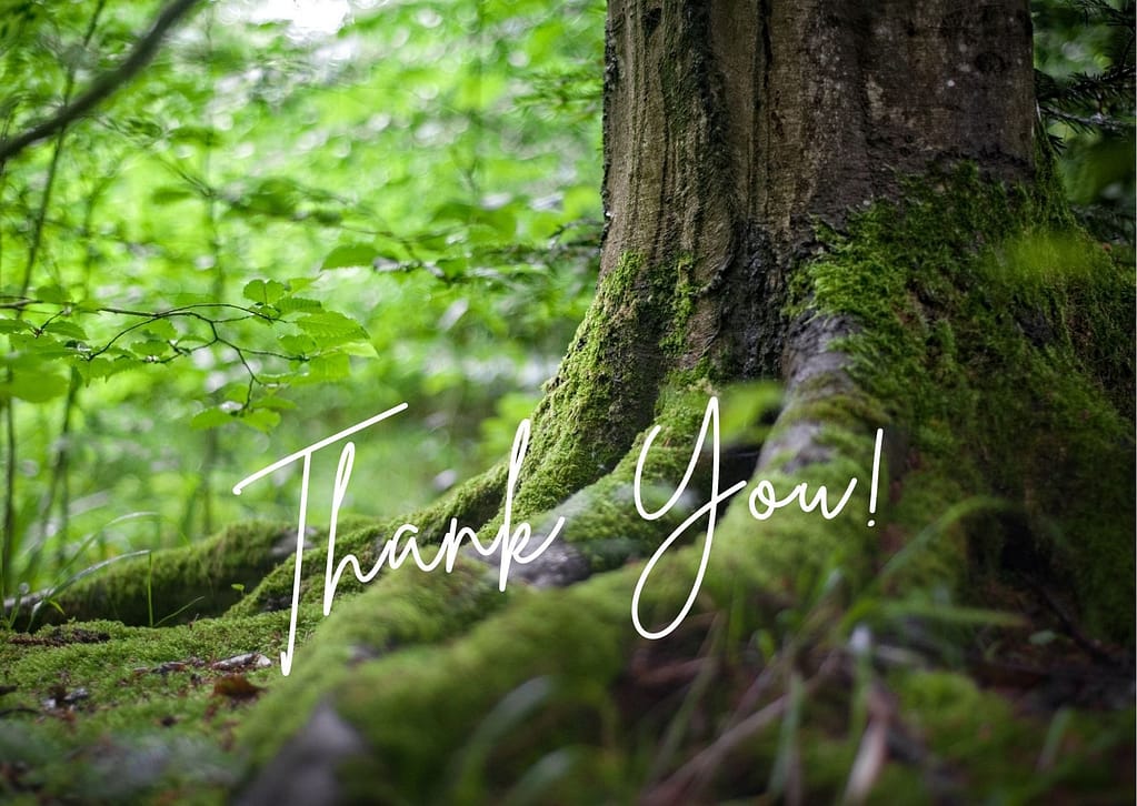 The base of a mossy tree in the forest surrounded by bright green leaves. Text reads, "Thank you!"