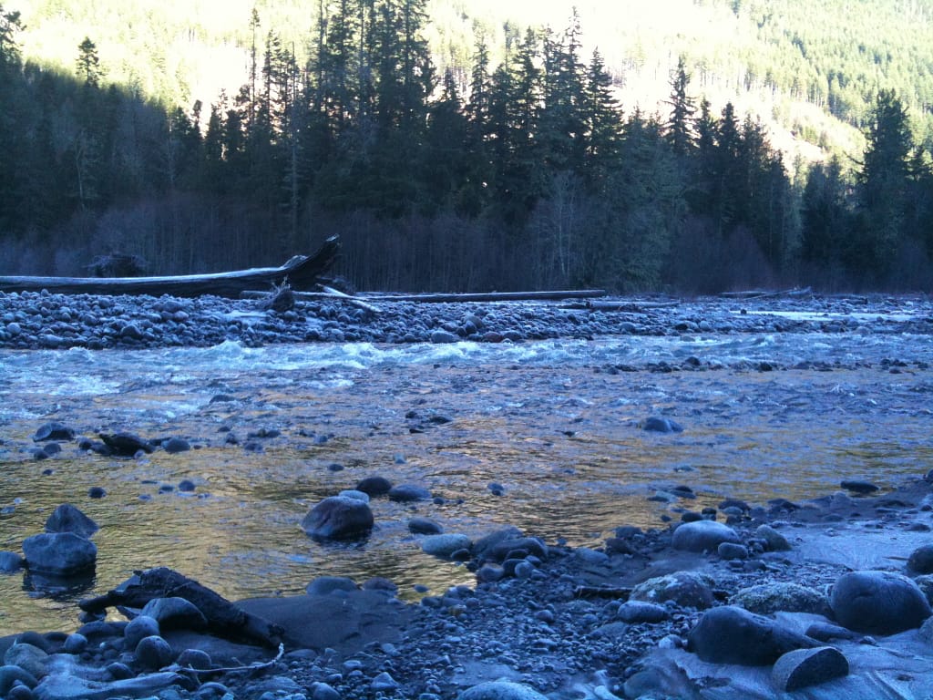 cold blue river at mount rainier with pines in the background
