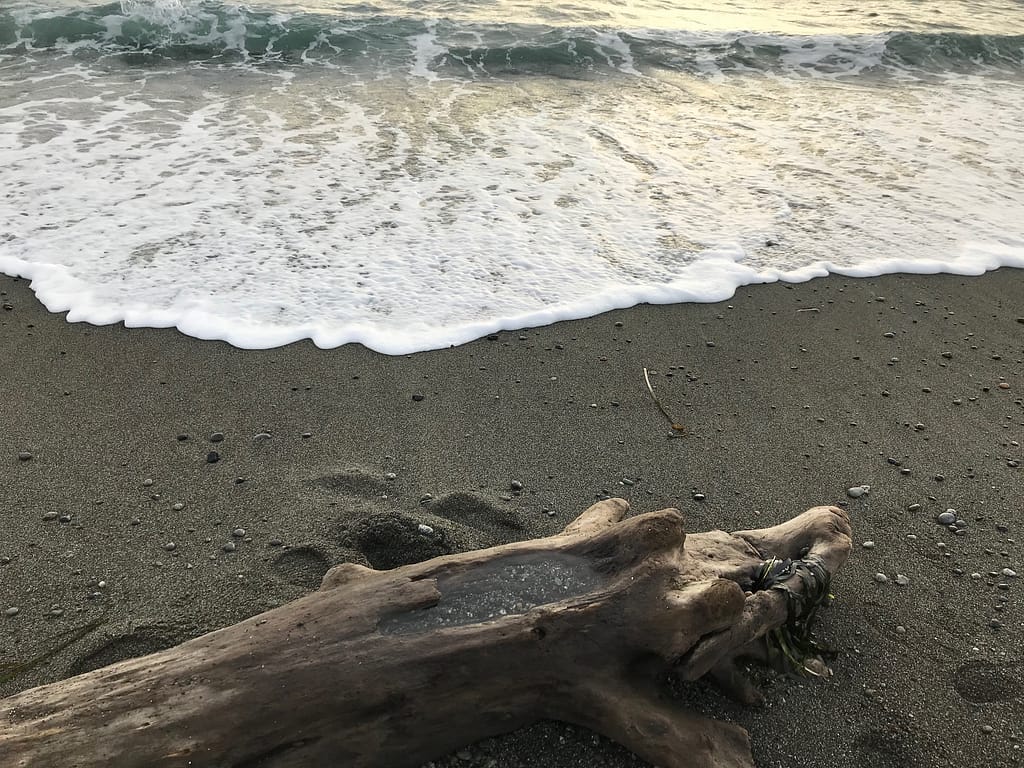 wave lapping the shore near a large smooth driftwood log