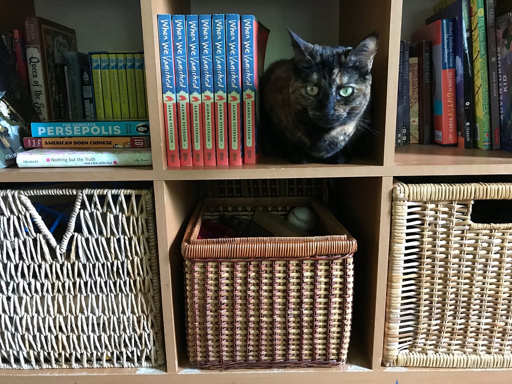 Bookshelf with When We Vanished books and a tortoiseshell cat serving as the bookend