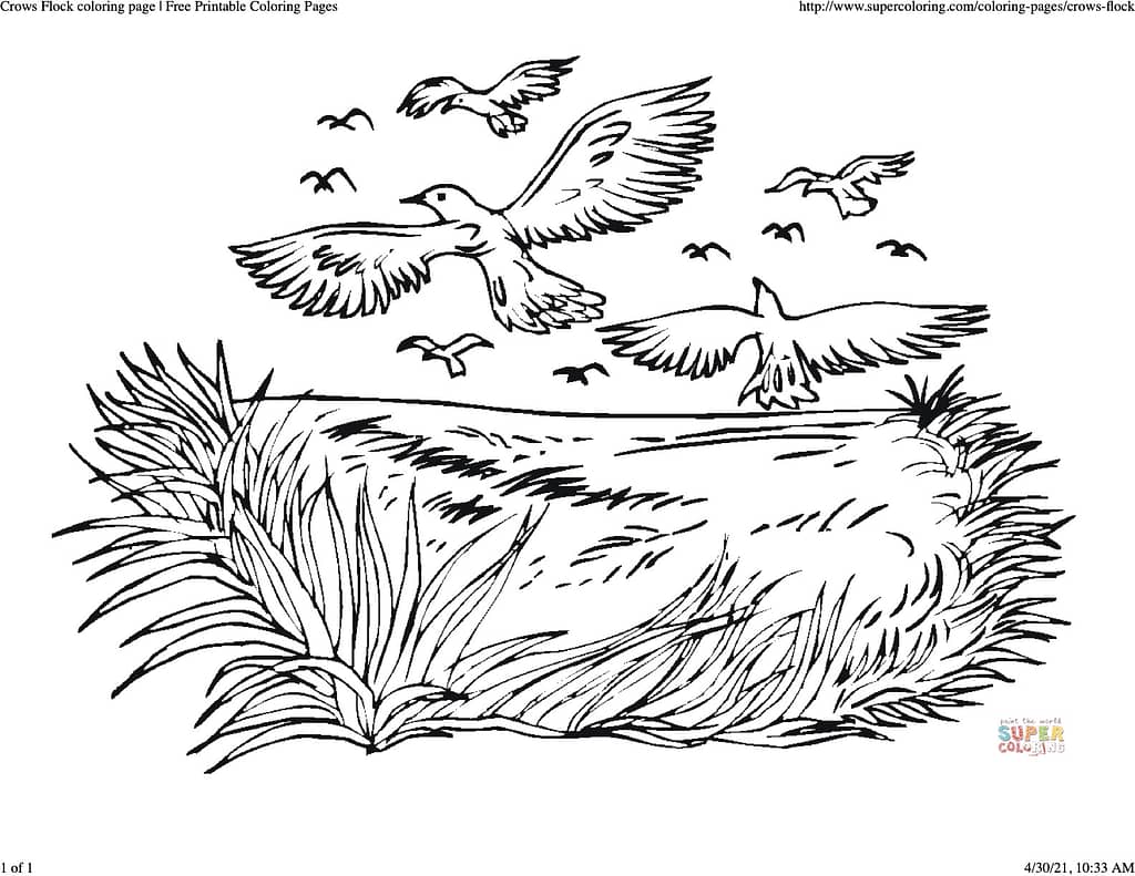 coloring sheet of a flock of crows flying over a field