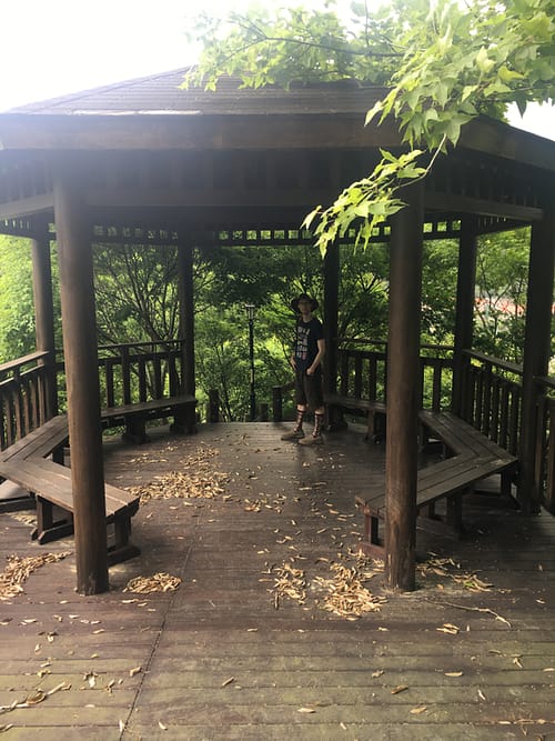 A large wooden gazebo surrounded by trees