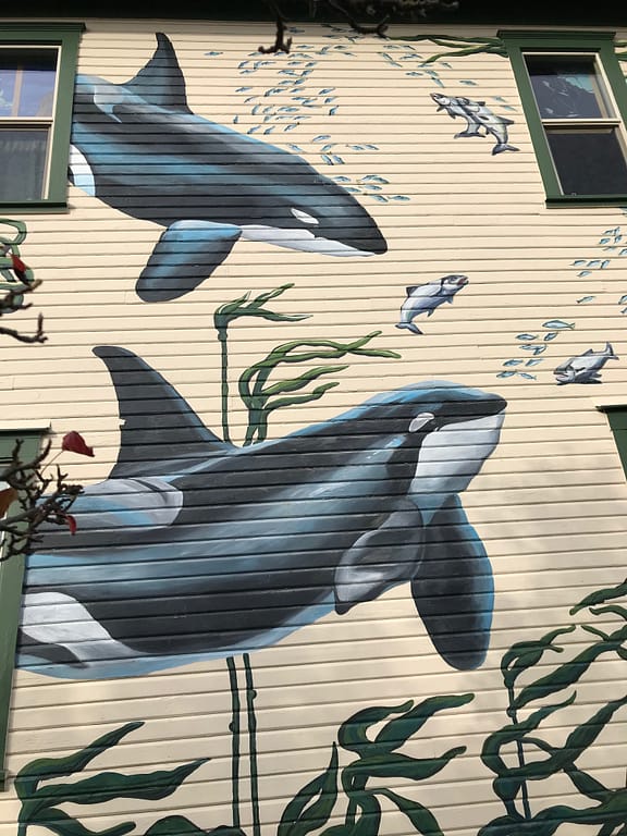 outside of the Whale Museum, painted with orca whales, kelp "trees", and schools of fish