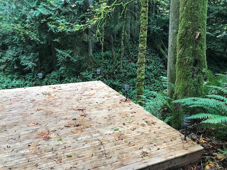 wooden patio overlooking a fern-covered gulch